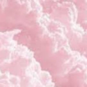 Meet your Posher, Gianna